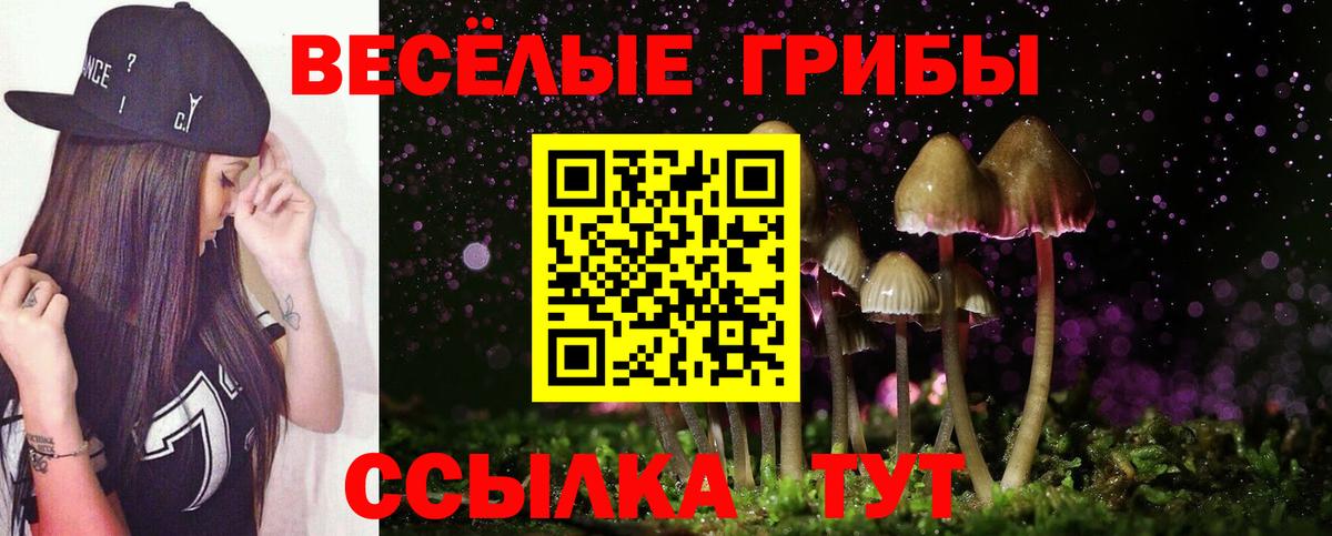 Псилоцибиновые грибы MAGIC MUSHROOMS Сосновый Бор